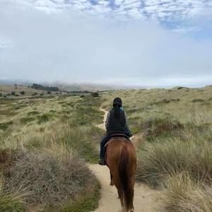 Meet your Posher, Cynthia